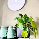 Apartment I Landlige Omgivelser
