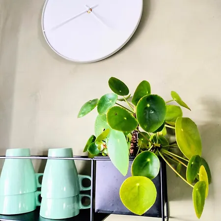 Apartment I Landlige Omgivelser