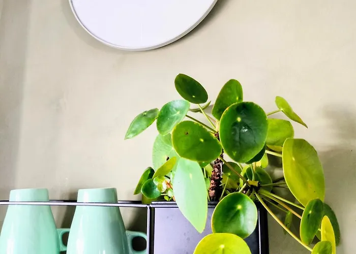 Apartament I Landlige Omgivelser